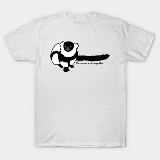 Kizzy B&W Ruffed Lemur w/ Sci name T-Shirt